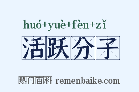 活跃分子是什么意思的图片